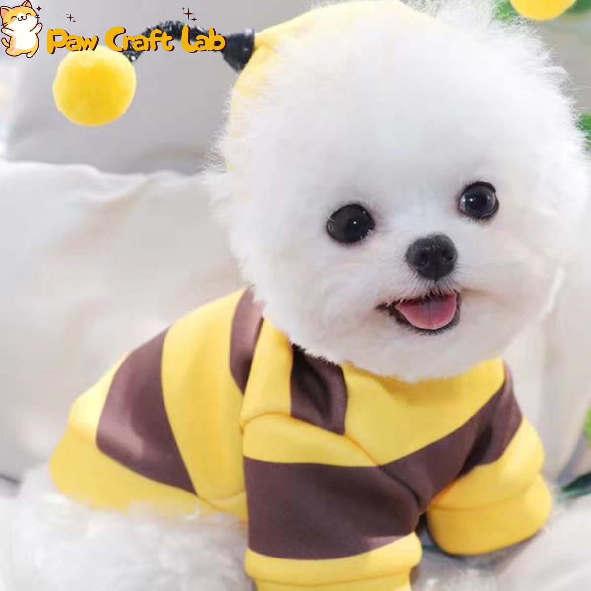Creative Pet Apparel | Custom-Made Service Available - 图片 6
