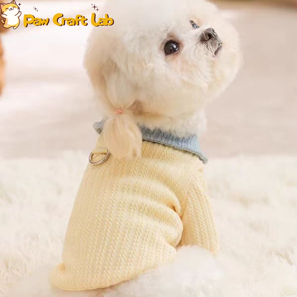 Creative Pet Apparel | Custom-Made Service Available - 图片 3