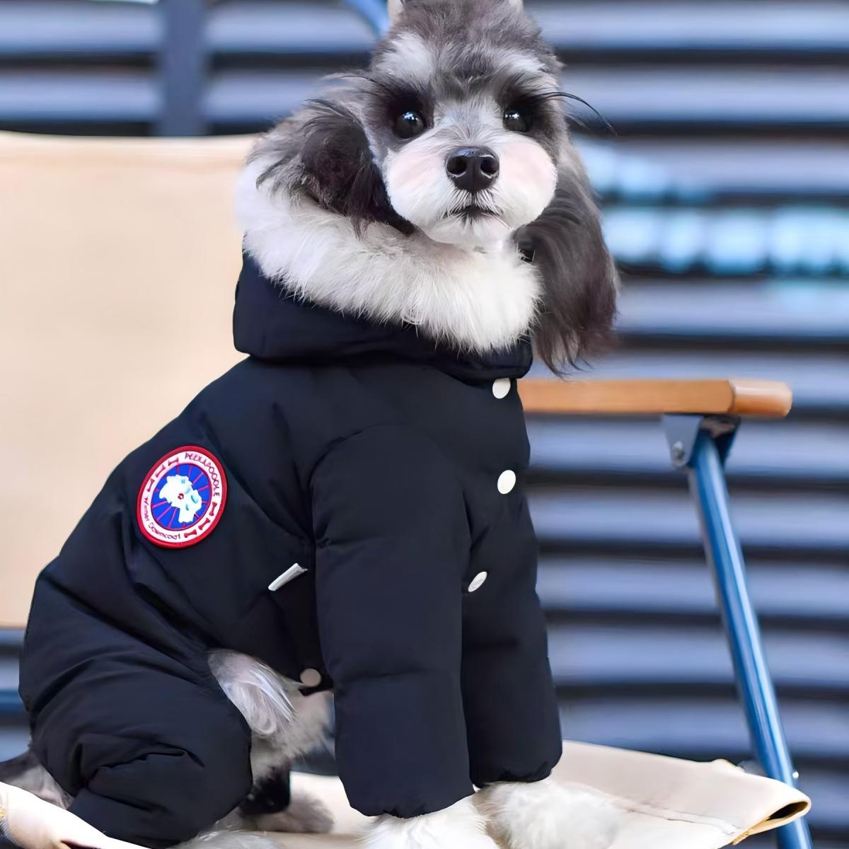 New Style Dog Down Jacket with Fur Collar | Warm & Fashionable Winter Goose Down Coat for Dogs - 图片 3