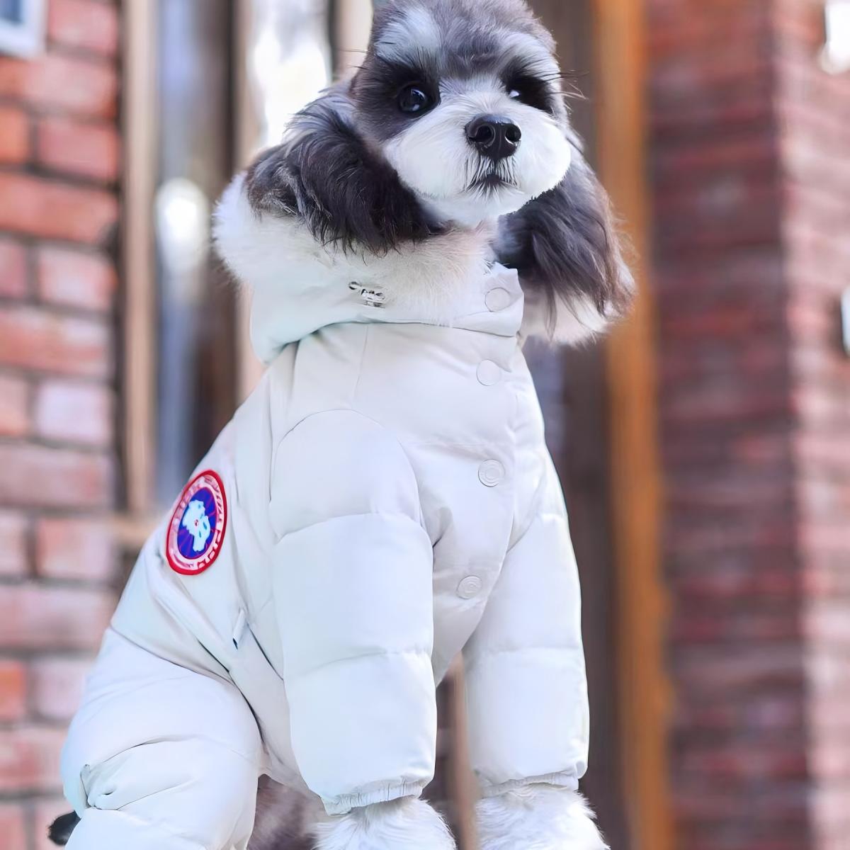 New Style Dog Down Jacket with Fur Collar | Warm & Fashionable Winter Goose Down Coat for Dogs - 图片 2