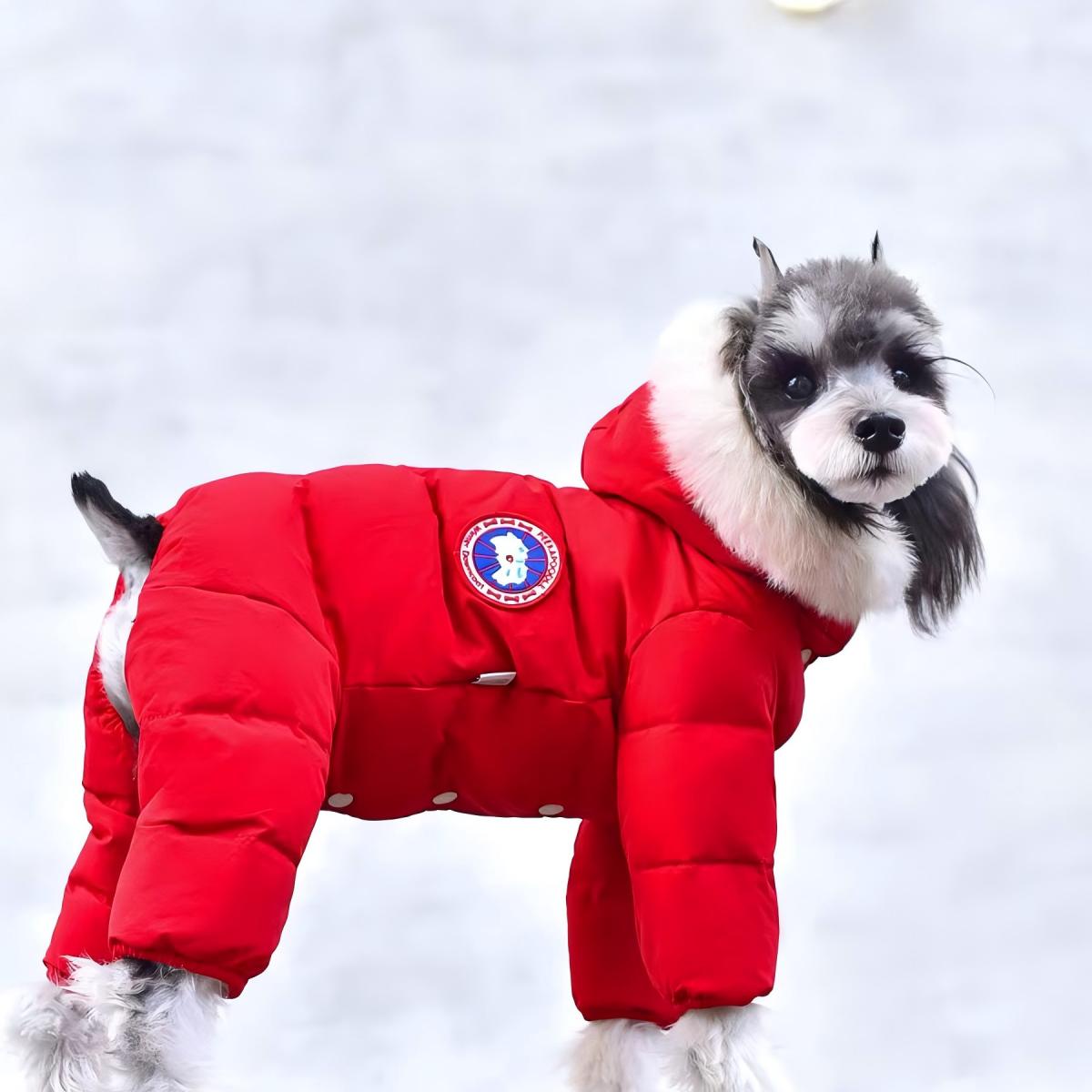 New Style Dog Down Jacket with Fur Collar | Warm & Fashionable Winter Goose Down Coat for Dogs - 图片 4