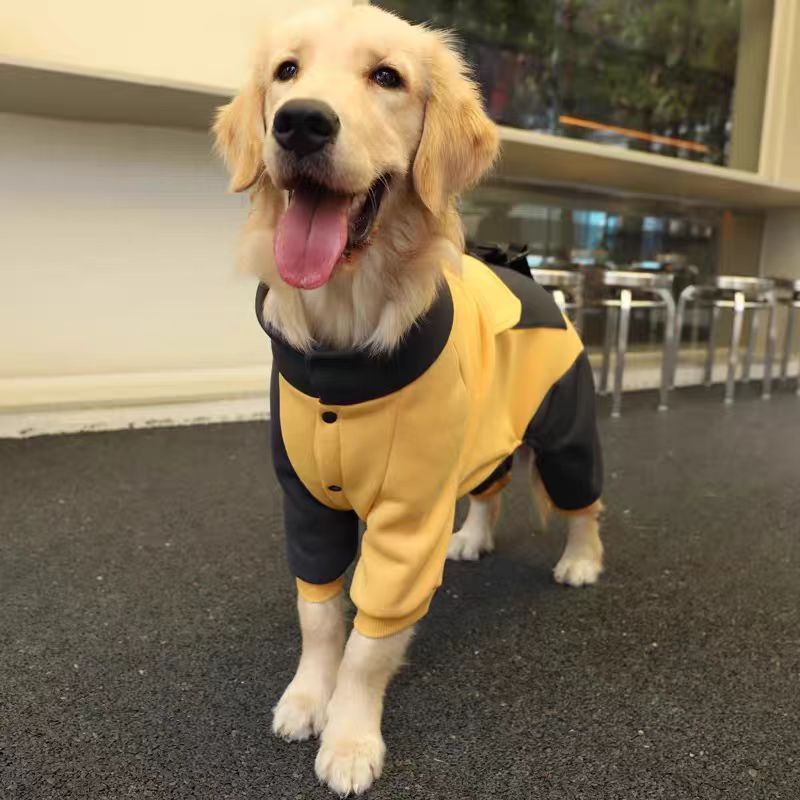 Creative Pet Apparel | Custom-Made Service Available - 图片 12