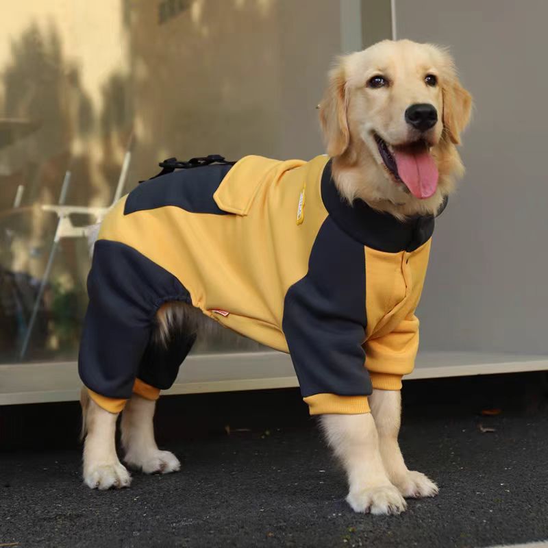 Creative Pet Apparel | Custom-Made Service Available - 图片 13