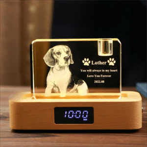 Pet Bluetooth Speaker with Night Light