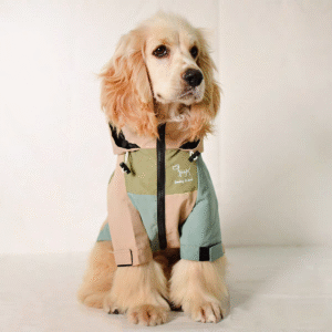Dog Outdoor Jacket | Waterproof & Warm for All Dog Breeds