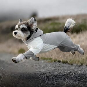 Dog Waterproof Jacket | Windproof  & All Breeds Outdoor
