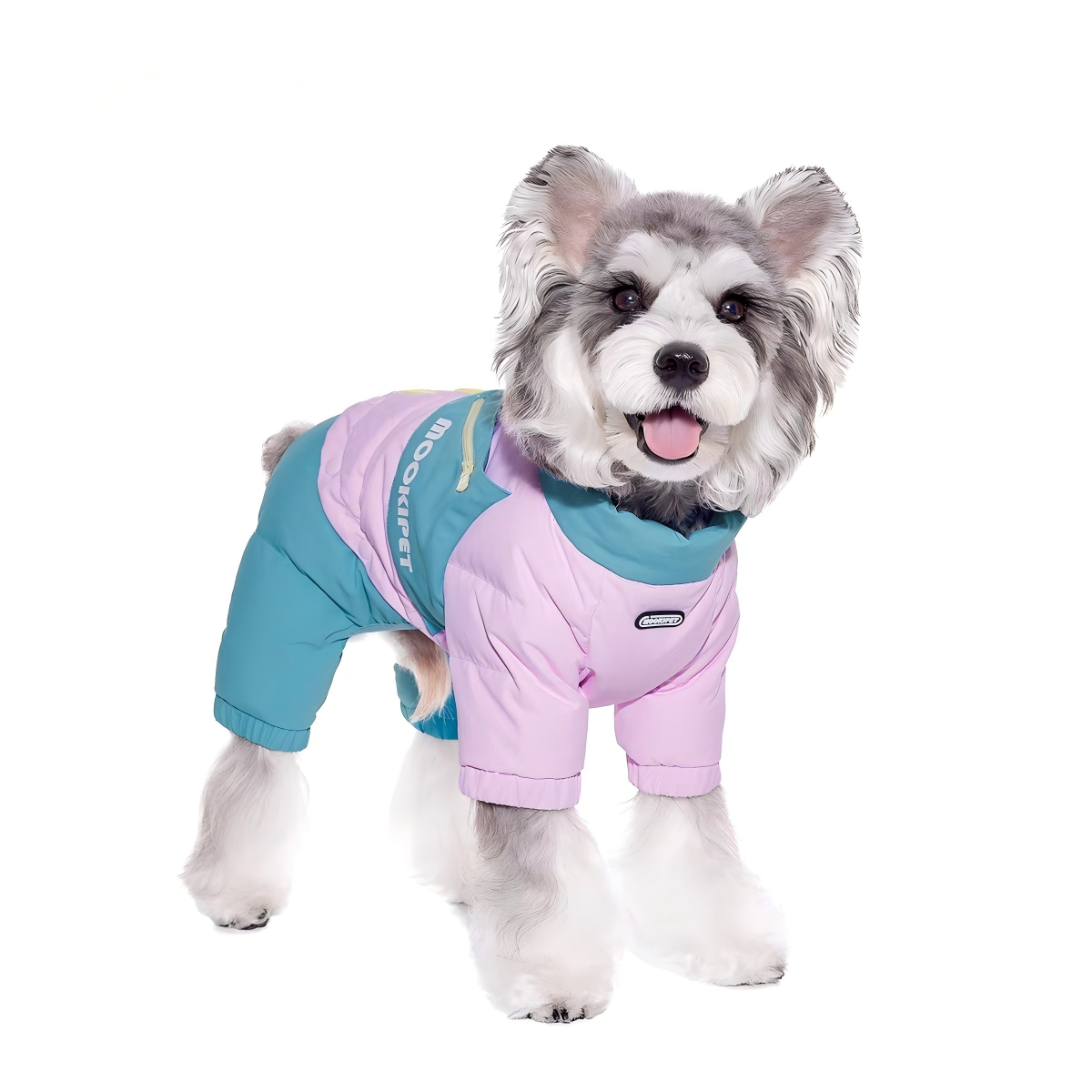 微信图片_20251127164648_257_366