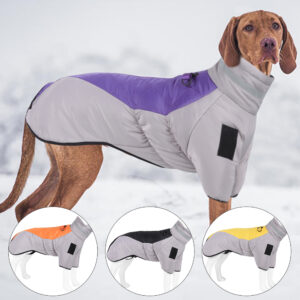Latest Pet Windproof Cotton Jacket