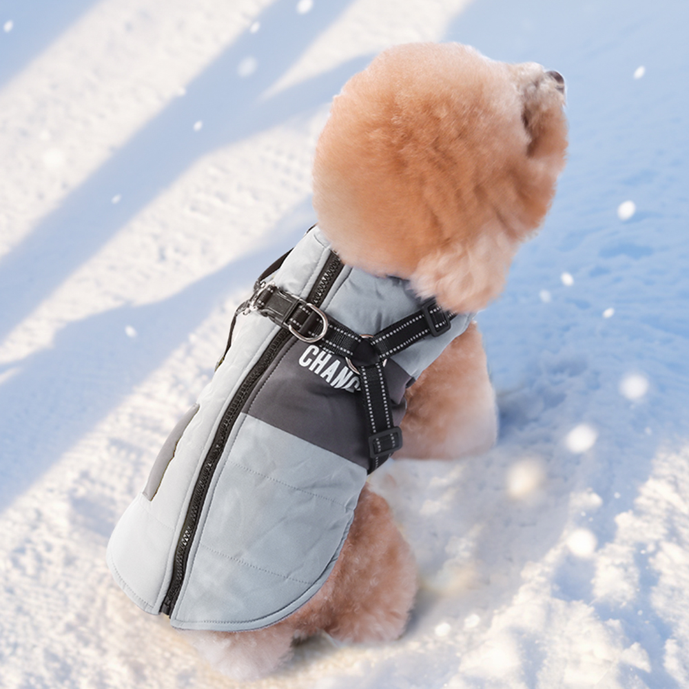 Stylish Pet Windbreaker - Fits All Pet Types - 图片 3